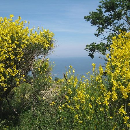 Da Lorella Ξενοδοχείο Gabicce Mare Εξωτερικό φωτογραφία