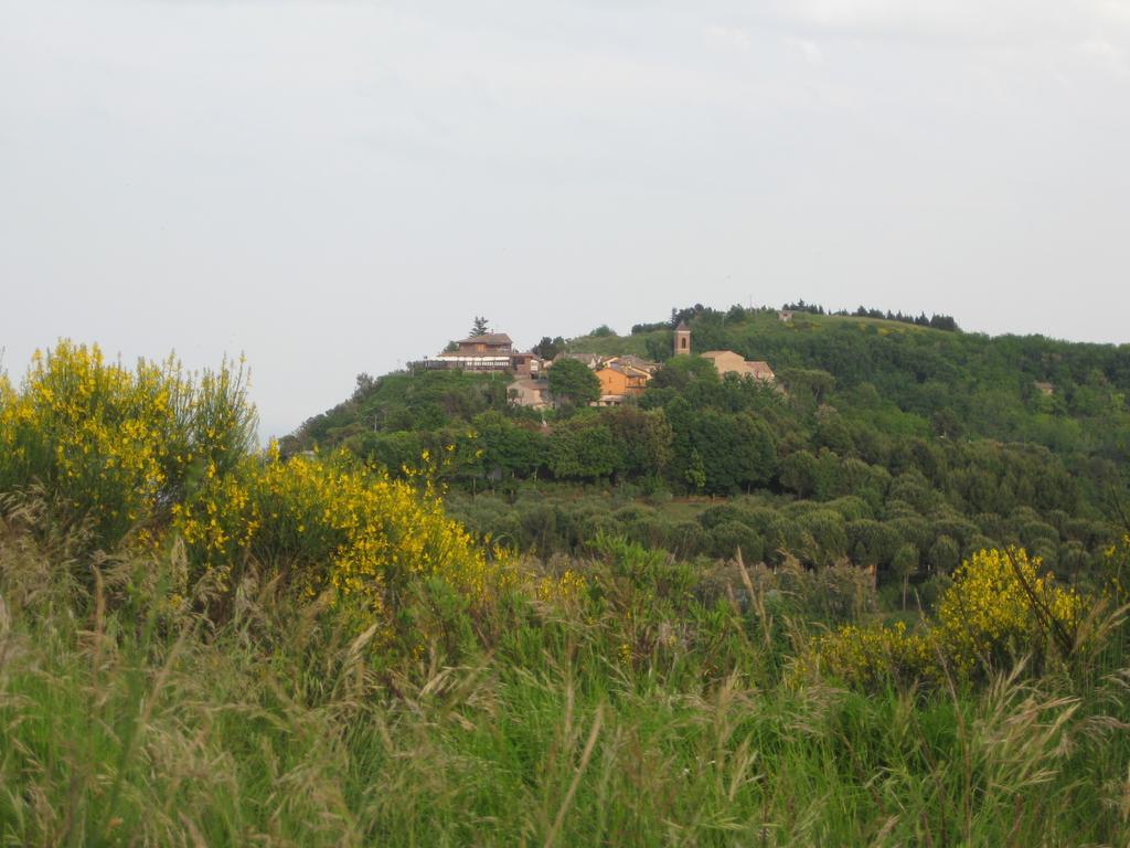 Da Lorella Ξενοδοχείο Gabicce Mare Εξωτερικό φωτογραφία