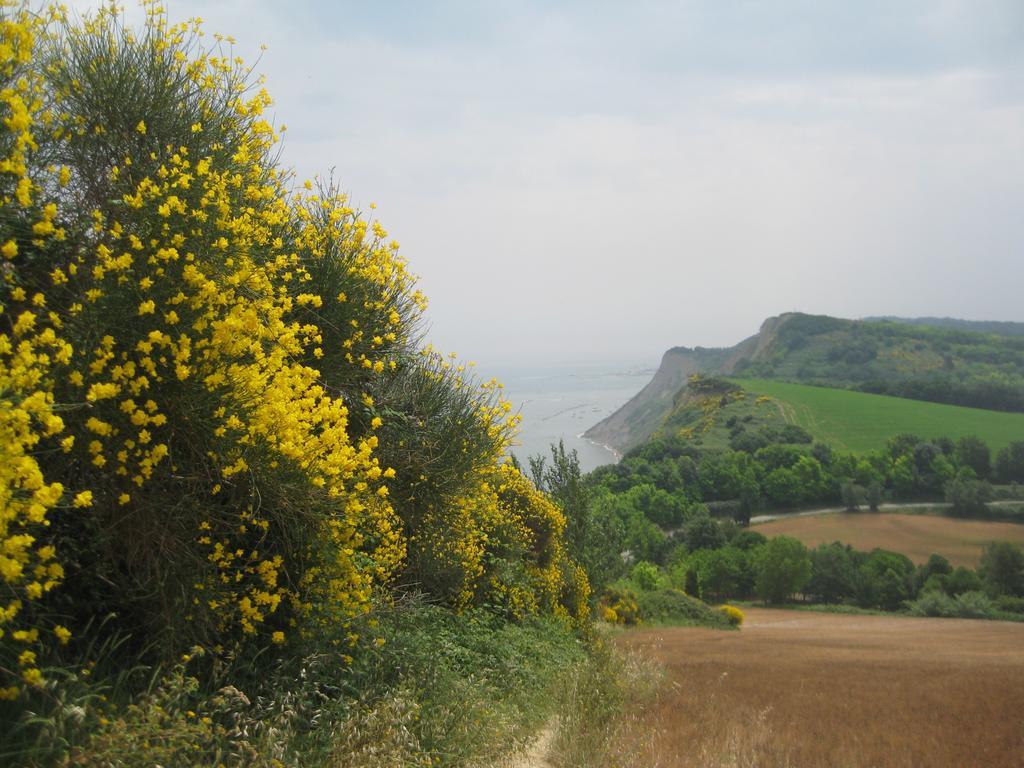 Da Lorella Ξενοδοχείο Gabicce Mare Εξωτερικό φωτογραφία