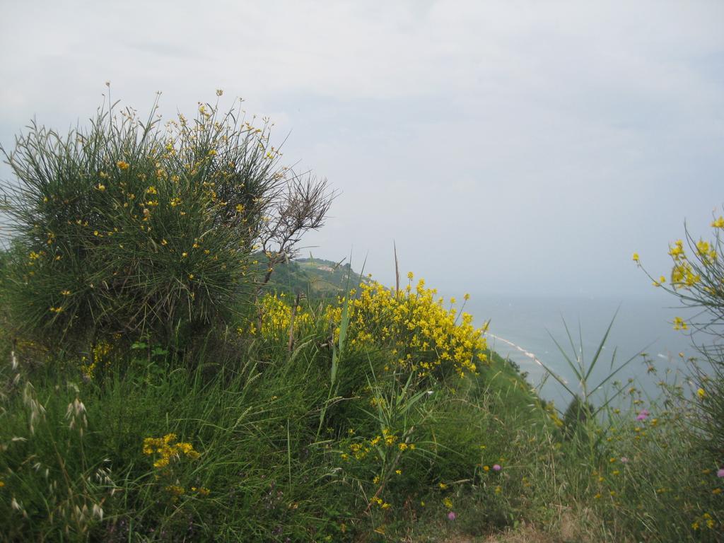 Da Lorella Ξενοδοχείο Gabicce Mare Εξωτερικό φωτογραφία