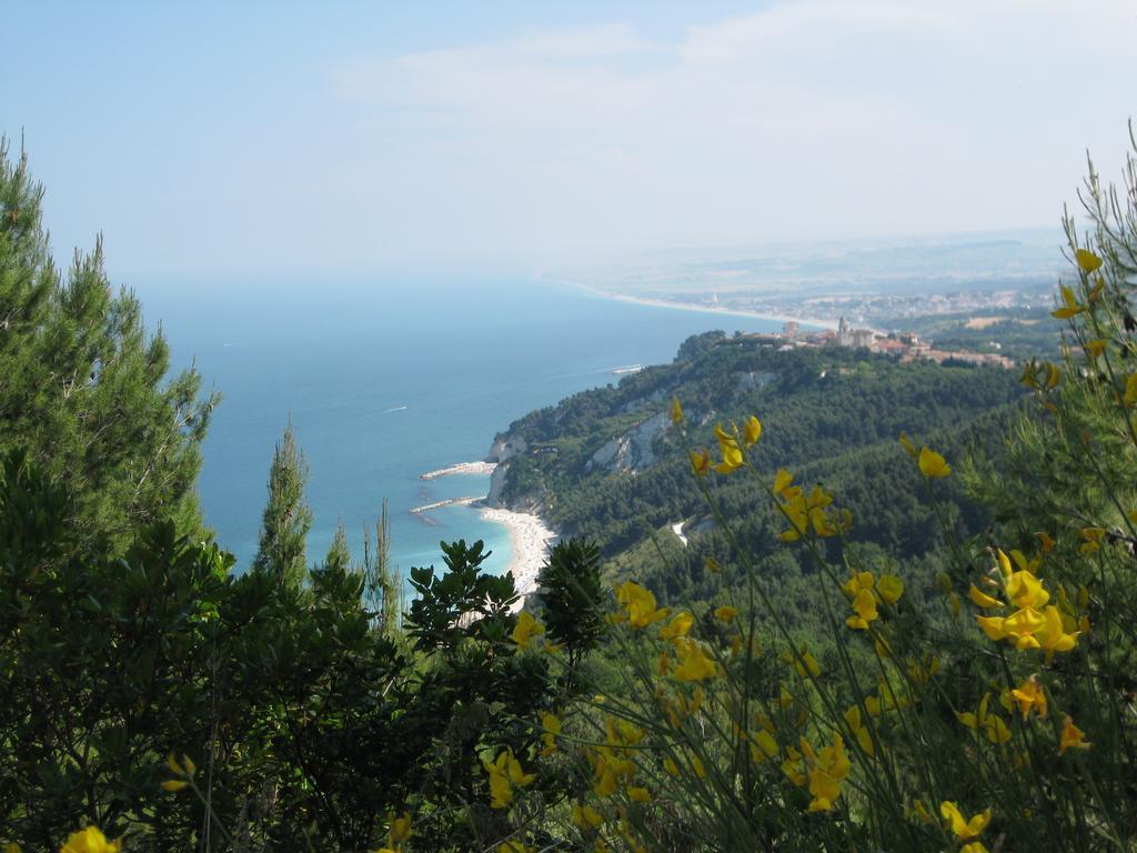 Da Lorella Ξενοδοχείο Gabicce Mare Εξωτερικό φωτογραφία